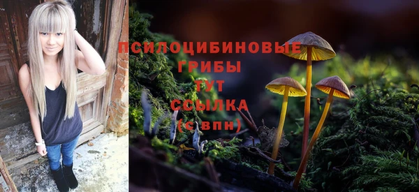 винт Михайлов