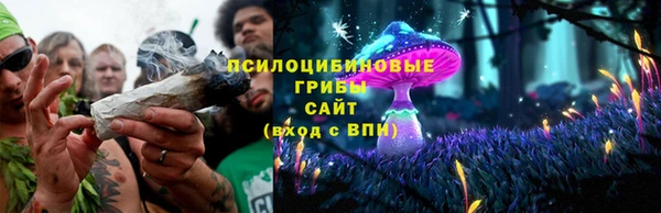 apvp Михайловск