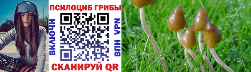 shop формула  хочу   Ужур  Галлюциногенные грибы MAGIC MUSHROOMS 